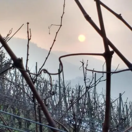 Stiftshof 恩克里克