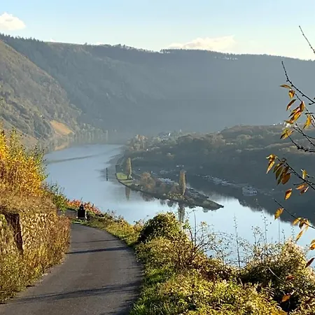 Stiftshof Appartement Enkirch