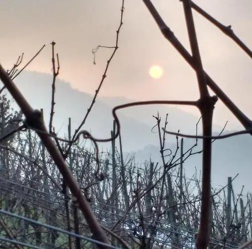 Stiftshof 엔키르흐